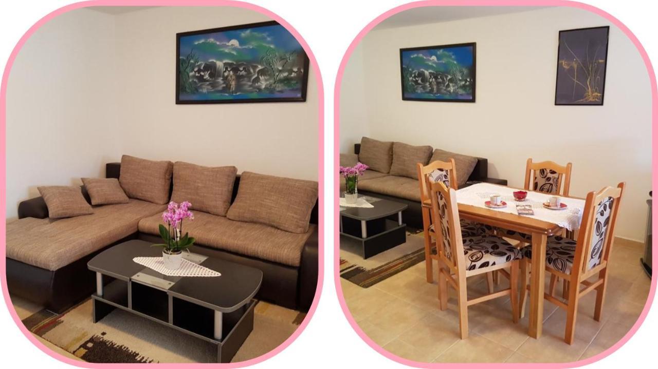 Apartmani Apolon Vrdnik Extérieur photo