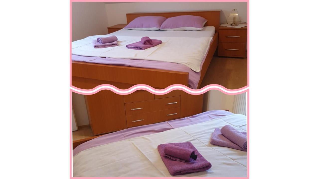 Apartmani Apolon Vrdnik Extérieur photo