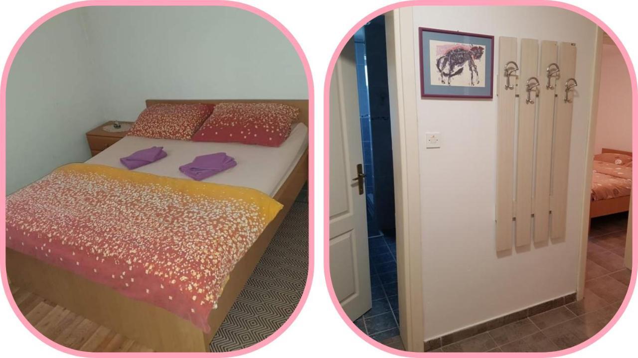 Apartmani Apolon Vrdnik Extérieur photo