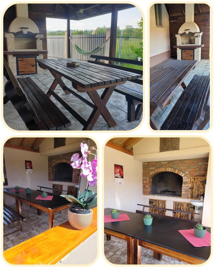 Apartmani Apolon Vrdnik Extérieur photo