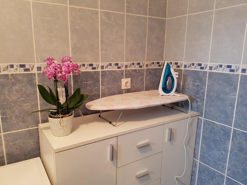 Apartmani Apolon Vrdnik Extérieur photo